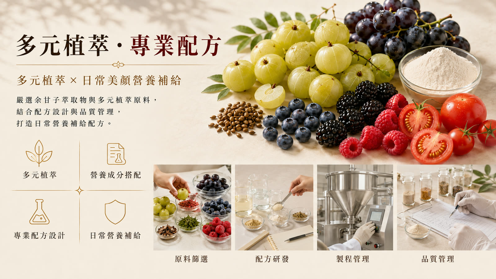 專利余甘子C膠囊 產品介紹 第 5 張,共 6 張