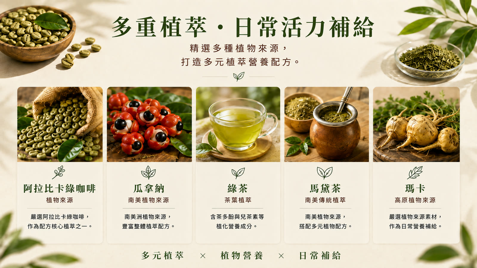 綠咖啡檸檬萃取膠囊 產品介紹 第 4 張,共 6 張