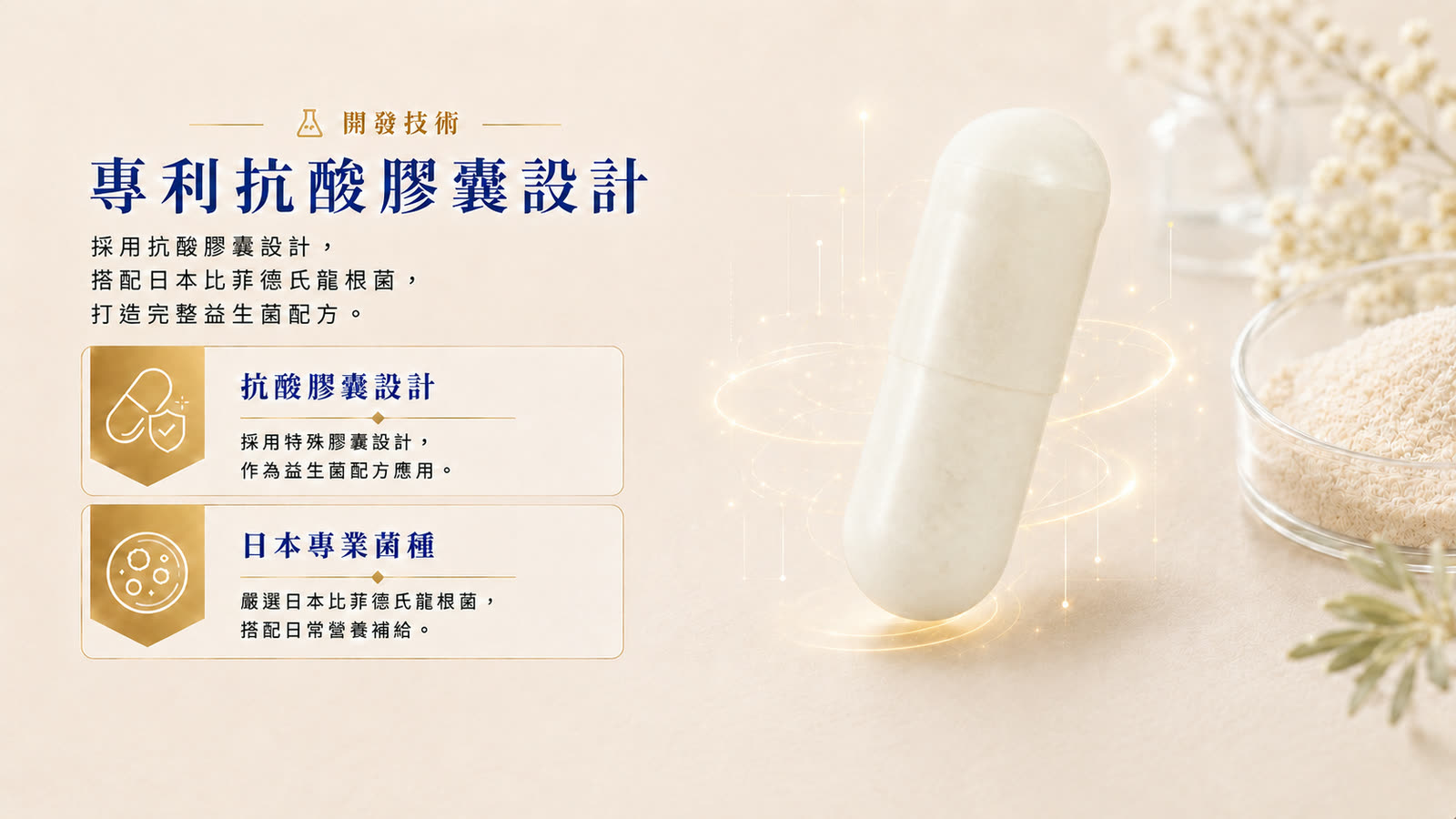 日本比菲德氏龍根菌膠囊 產品介紹 第 4 張，共 6 張